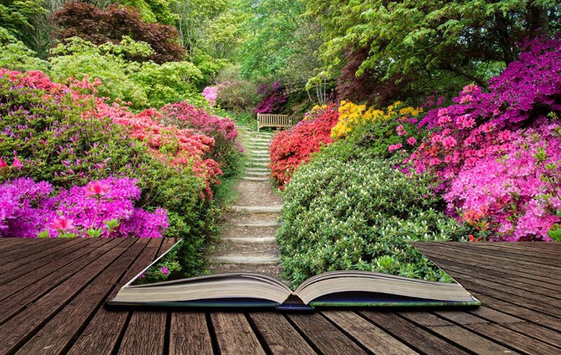 Top 25 Best Gardening Books of All Time Review 2020