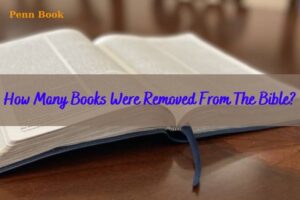 How Many Books Were Removed From The Bible