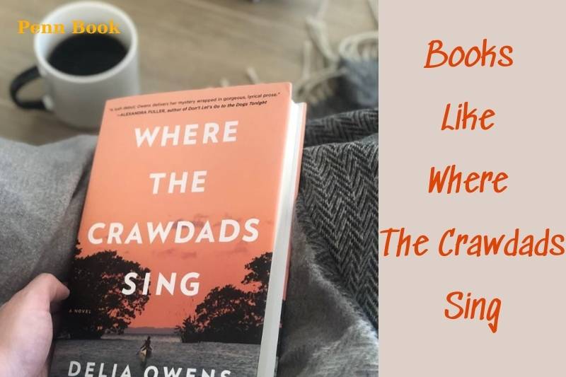 Best Books Like Where The Crawdads Sing