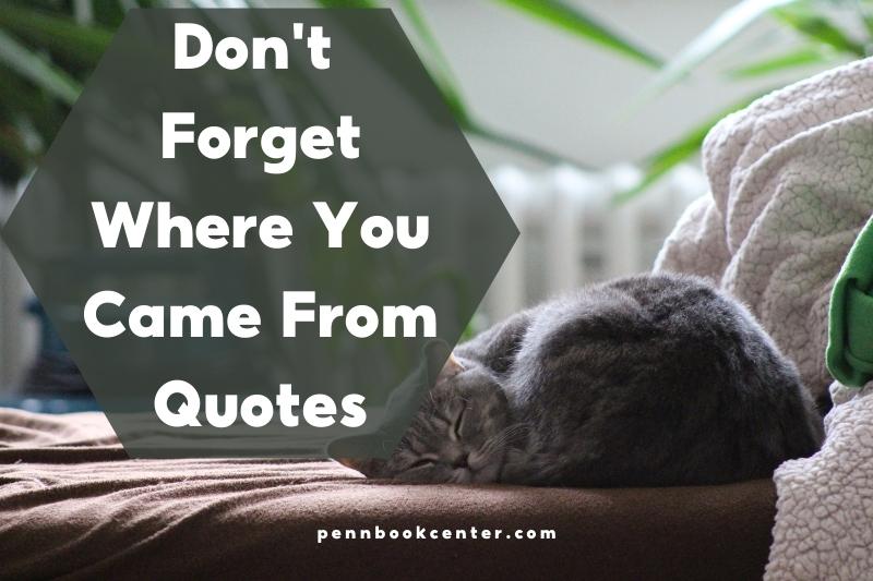 Don't Forget Where You Came From Quotes