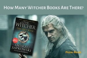 How Many Witcher Books Are There