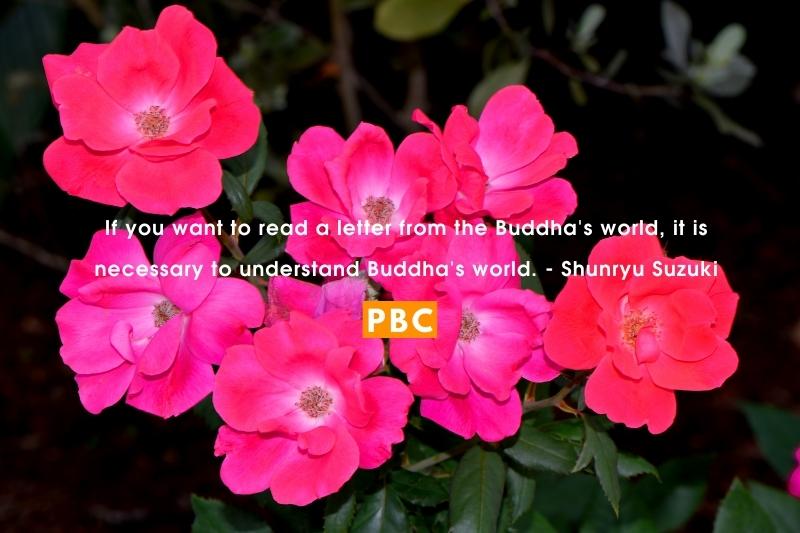If you want to read a letter from the Buddha's world, it is necessary to understand Buddha's world. - Shunryu Suzuki