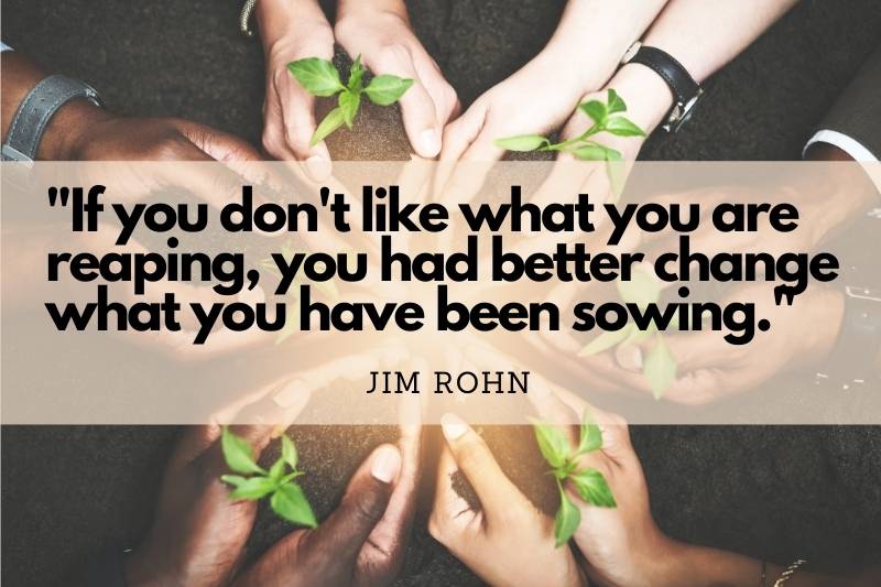 Best You Reap What You Sow Quotes And Sayings 2022