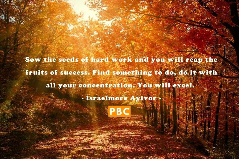 Sow the seeds of hard work and you will reap the fruits of success. Find something to do, do it with all your concentration. You will excel. – Israelmore Ayivor