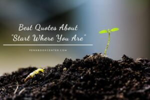 Start Where You Are Quotes
