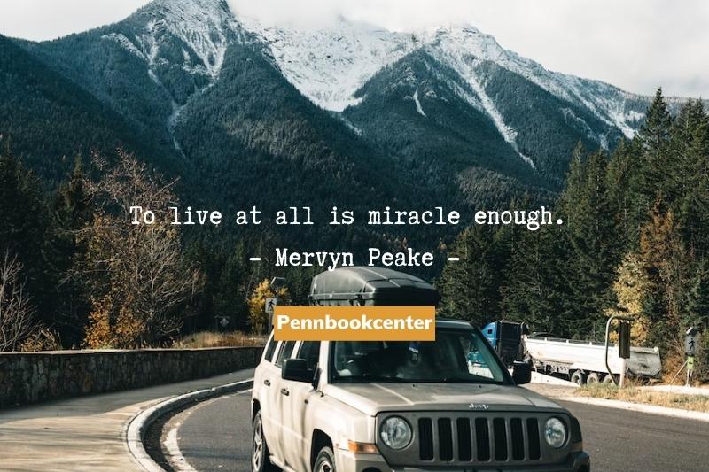 To live at all is miracle enough. - Mervyn Peake