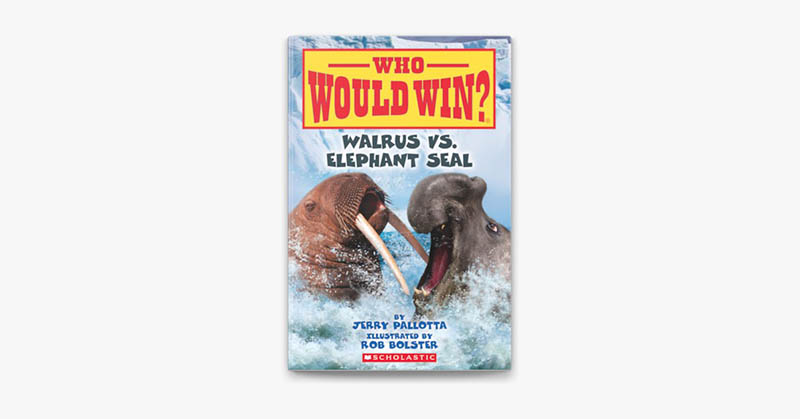 Who Would Win Walrus vs. Elephant Seal