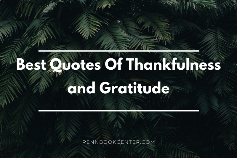 Best Quotes Of Thankfulness and Gratitude