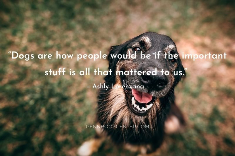 Dog Quotes And Captions