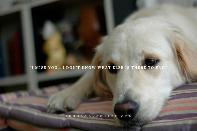 I Miss You so Much Quotes for Her