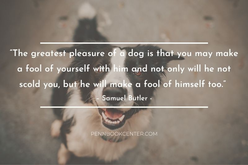 Inspirational Quotes About Loving Your Dog