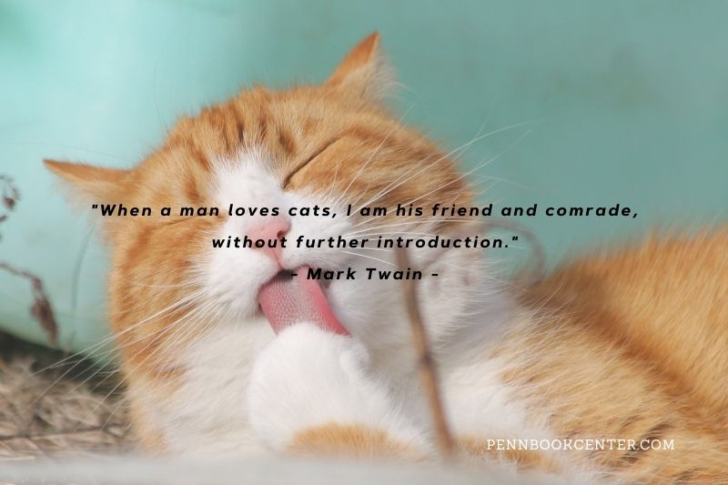 Mark Twain Cat Quotes