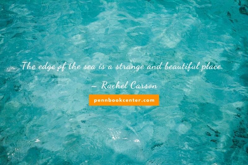 The edge of the sea is a strange and beautiful place. – Rachel Carson