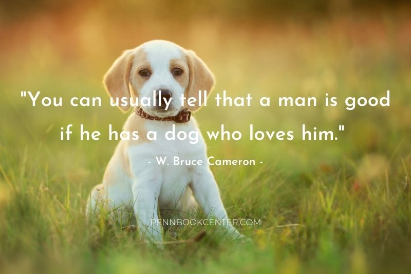 W. Bruce Cameron Quotes