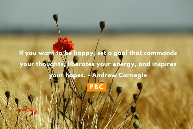 If you want to be happy, set a goal that commands your thoughts, liberates your energy, and inspires your hopes. - Andrew Carnegie