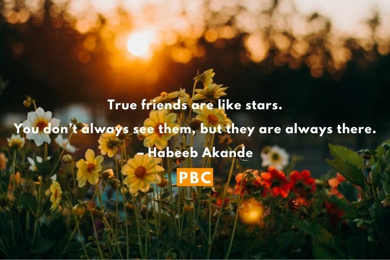 True friends are like stars. You don’t always see them, but they are always there. – Habeeb Akande