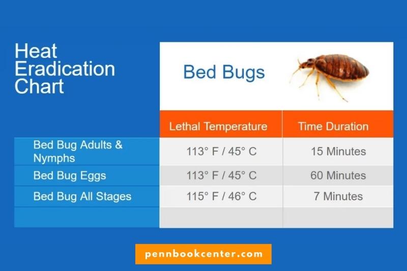 Using Heat to Kill Bed Bugs