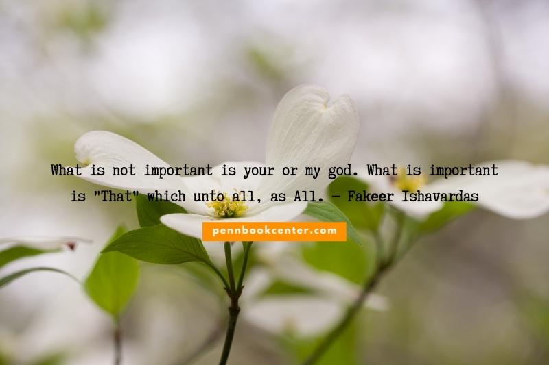 What is not important is your or my god. What is important is "That" which unto all, as All. ― Fakeer Ishavardas