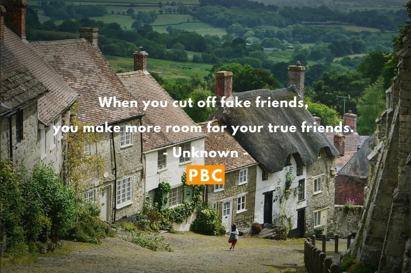 When you cut off fake friends, you make more room for your true friends. – Unknown