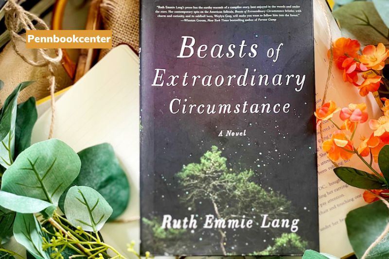 Beats Of Extraordinary Circumstance By Ruth Emmie Lang