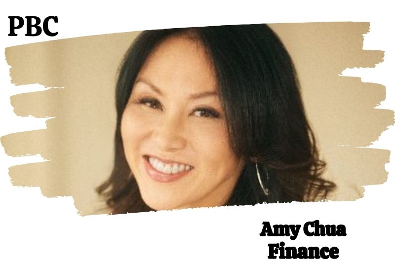 Amy Chua Net Worth 2024: How She Built Wealth As A Yale Law Professor