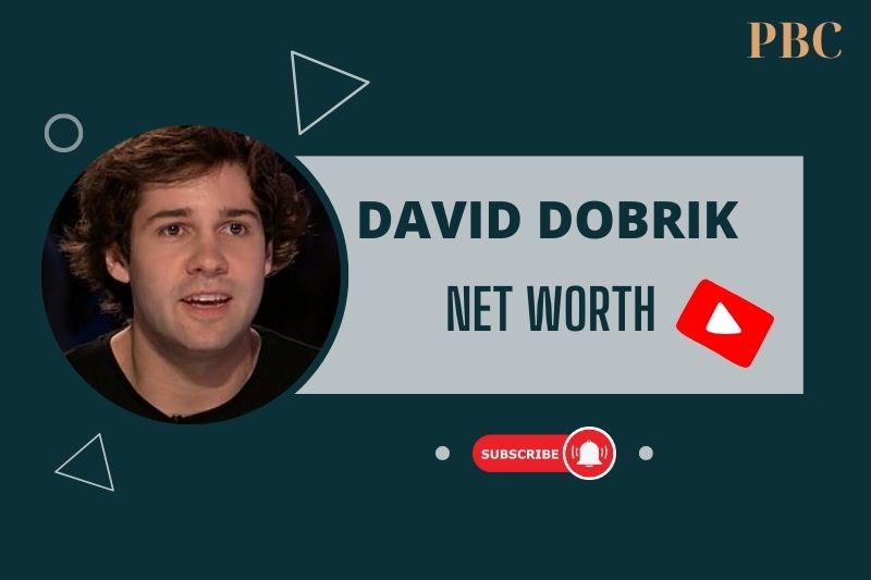 What is David Dobrik Net Worth 2024 Sponsorships, Ventures, and Financial Success