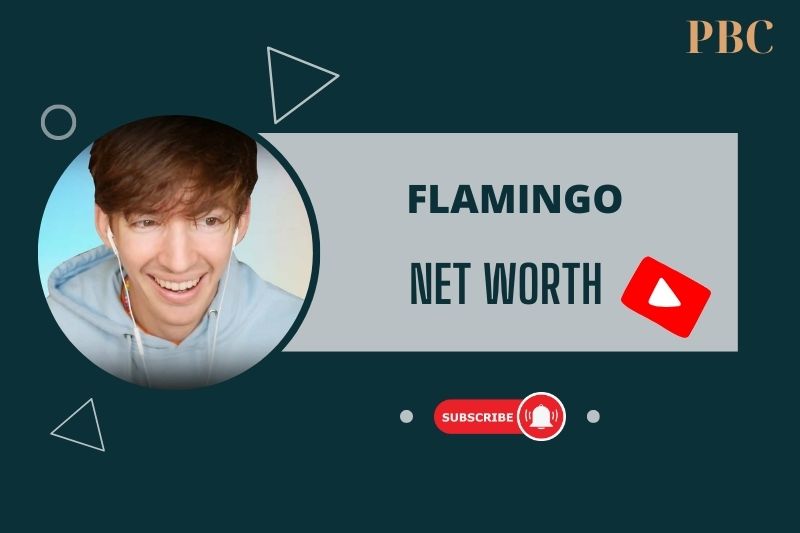 What is Flamingo Net Worth in 2024 Key Milestones in His YouTube Success