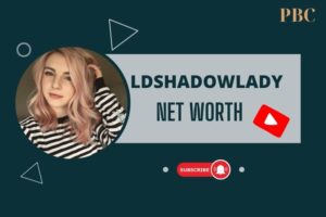 What is LDShadowLady Net Worth 2024 YouTube Income and Financial Overview