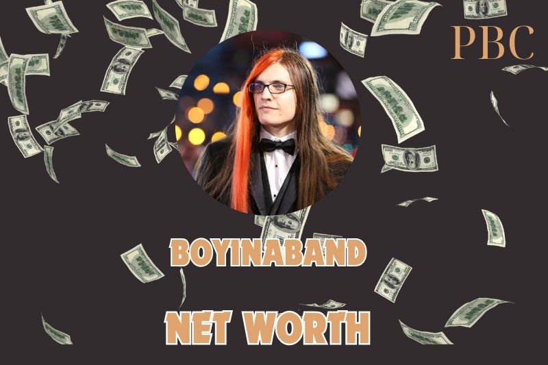 What is the Net Worth Of Boyinaband 2024