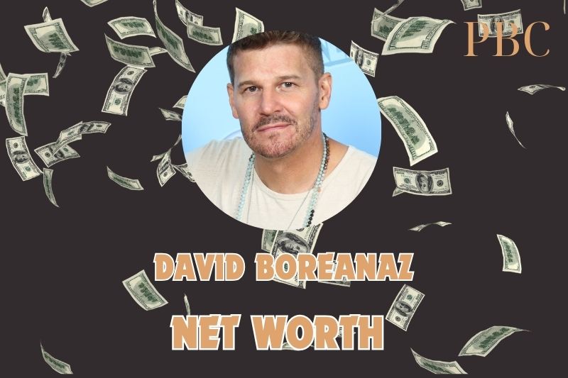 What is the Net Worth Of David Boreanaz in 2024