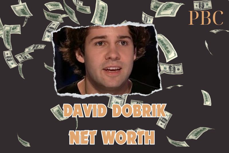 What is the Net Worth Of David Dobrik 2024