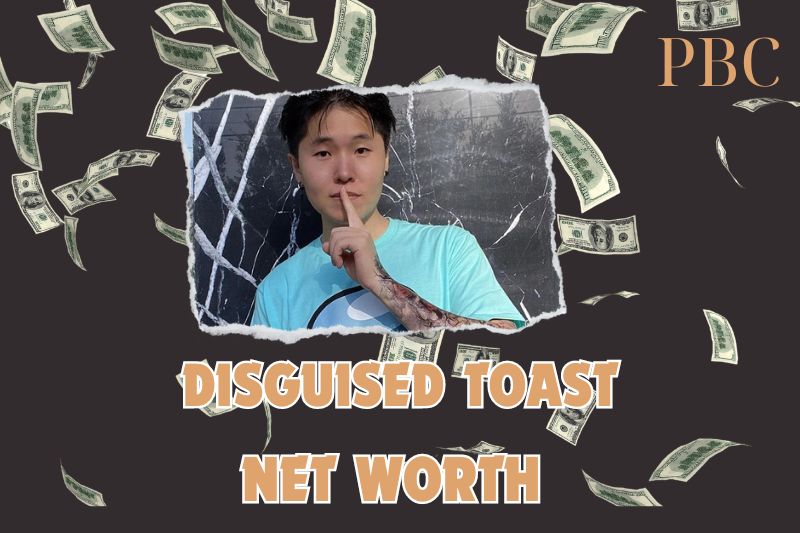 What is the Net Worth Of Disguised Toast in 2024