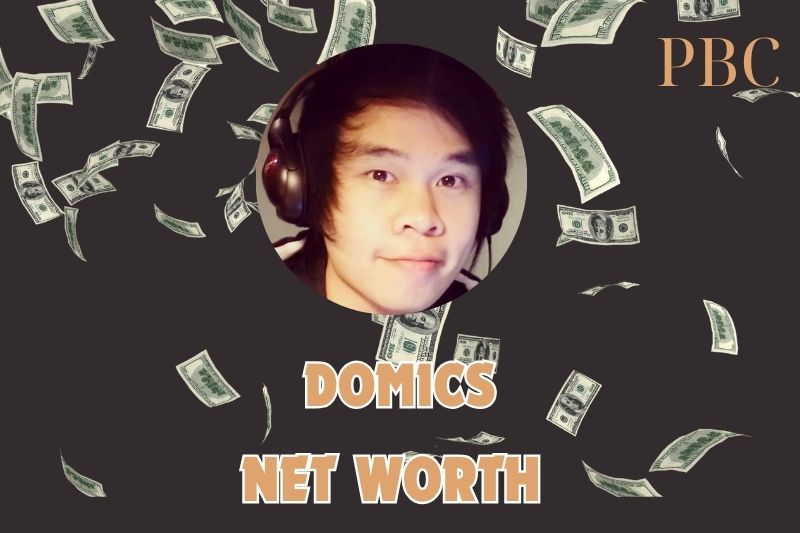 What is the Net Worth Of Domics in 2024