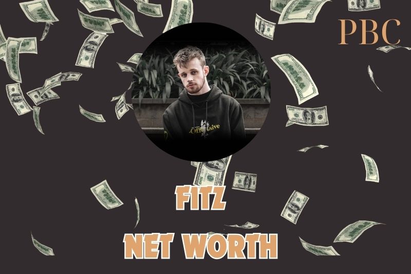 What is the Net Worth Of Fitz in 2024