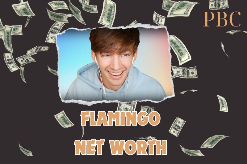 What is the Net Worth Of Flamingo in 2024