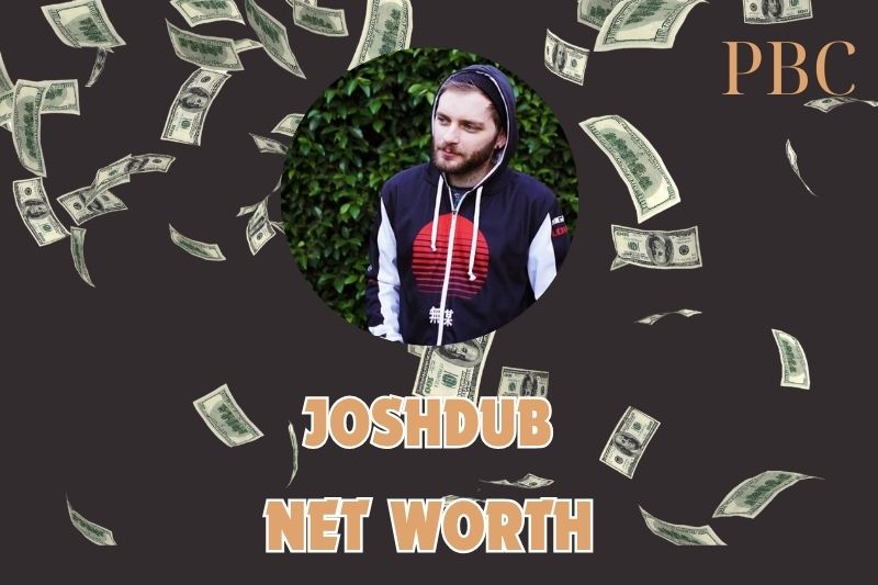 JoshDub Net Worth 2024 His Social Media Sponsorship Earnings