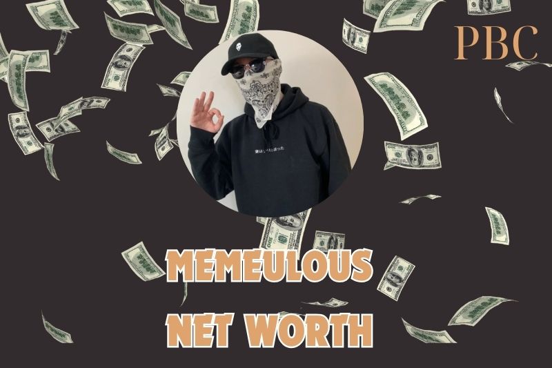 What is the Net Worth Of Memeulous in 2024