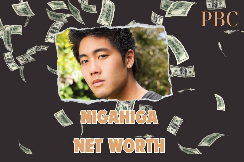 What is the Net Worth Of Nigahiga in 2024