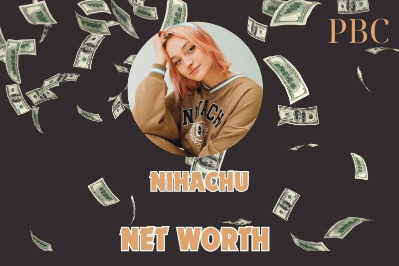 What is the Net Worth Of Nihachu 2024