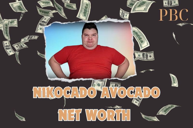 What is the Net Worth Of Nikocado Avocado in 2024