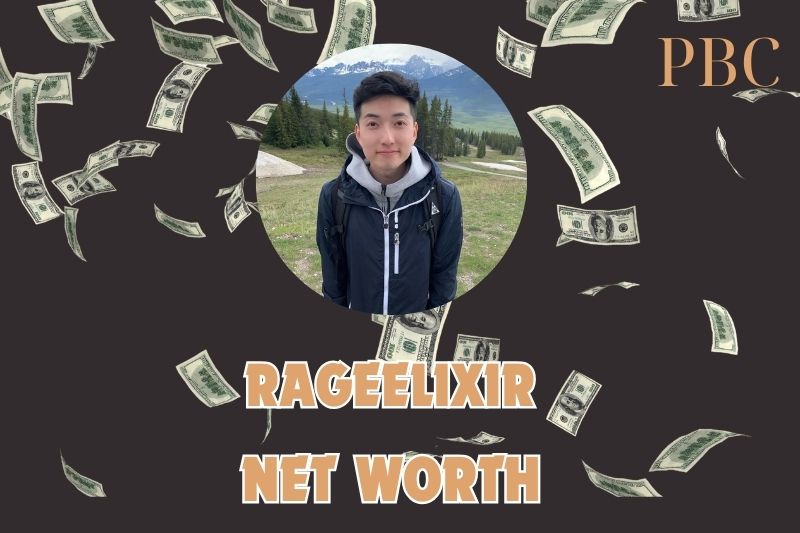 What is the Net Worth Of RageElixir in 2024