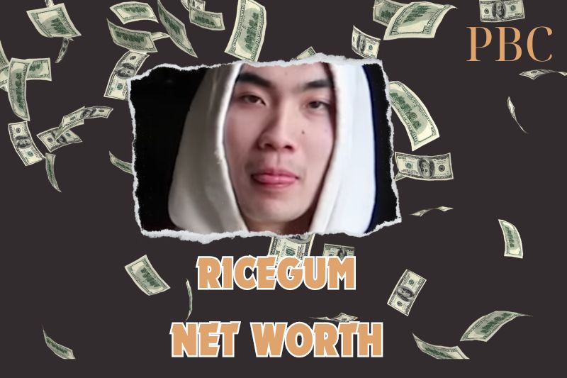 What is the Net Worth Of RiceGum 2024