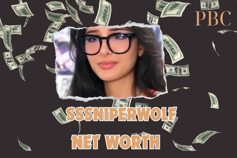 What is the Net Worth Of SSSniperWolf 2024