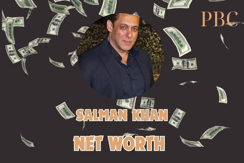 What is the Net Worth Of Salman Khan in 2024