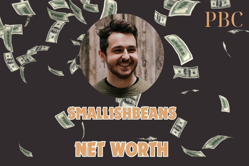 What is the Net Worth Of SmallishBeans 2024