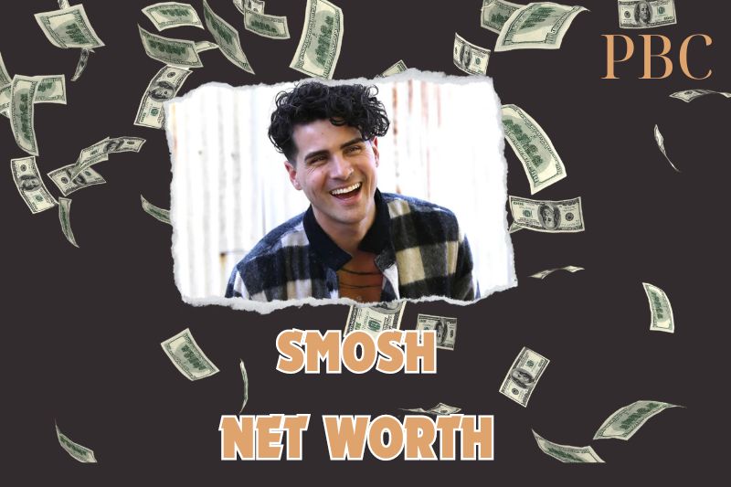 What is the Net Worth Of Smosh in 2024