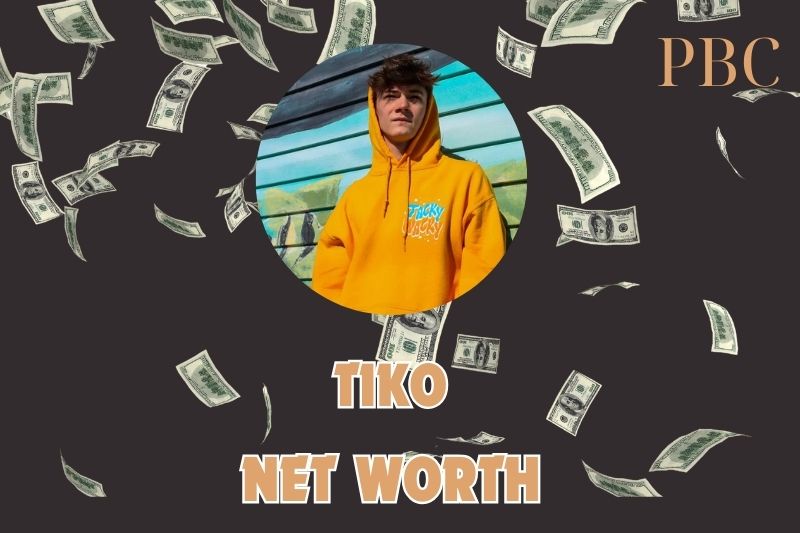 What is the Net Worth Of Tiko in 2024