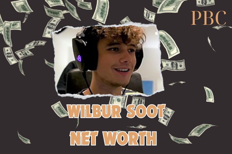 What is the Net Worth Of Wilbur Soot in 2024