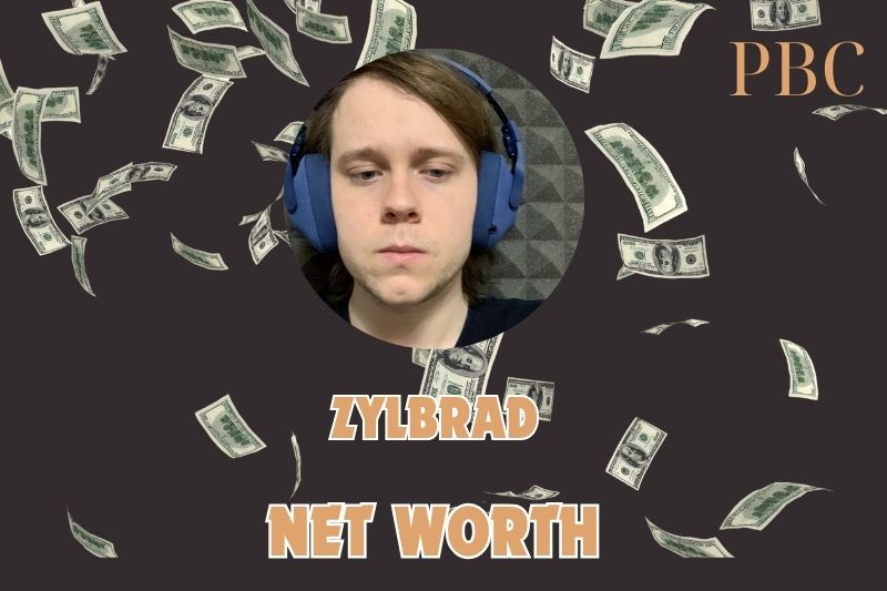 What is the Net Worth Of Zylbrad 2024