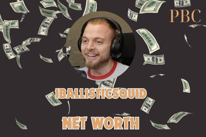 What is the Net Worth Of iBallisticSquid 2024